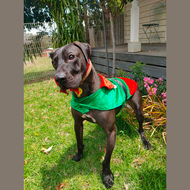 Photo of Maisey