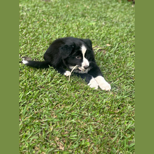 Photo of Meli