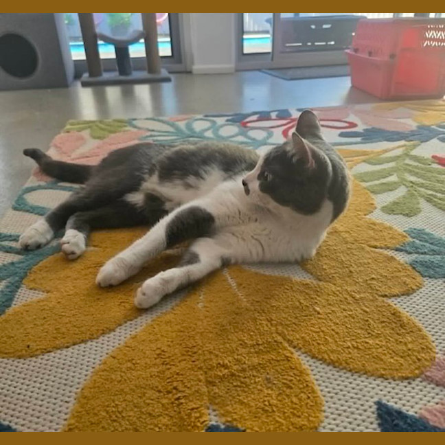 Photo of Hamish