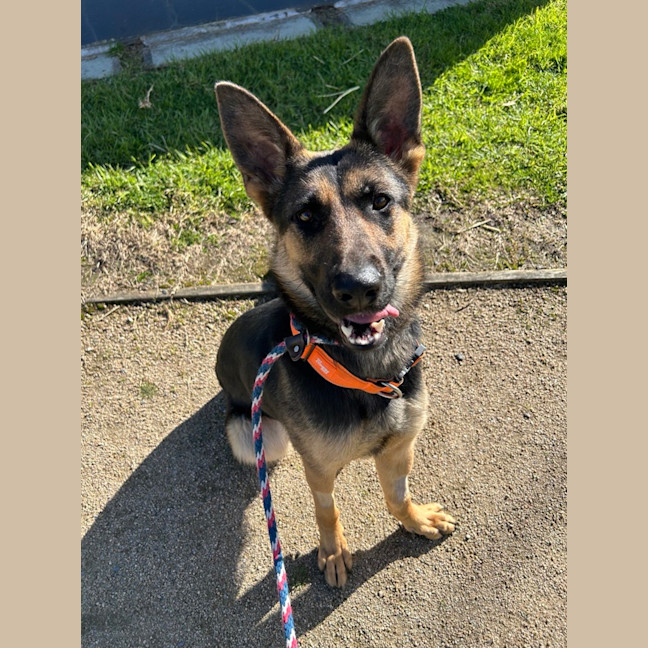 Photo of Trudy