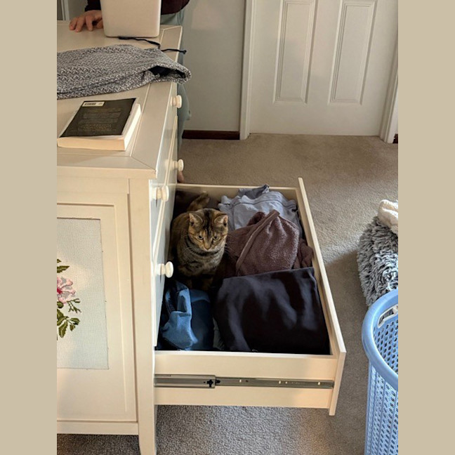 Photo of Luna 