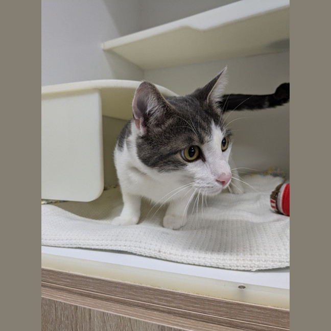 Photo of 📺 Toulouse 5727 📺