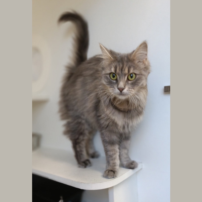 Photo of Lady Penelope