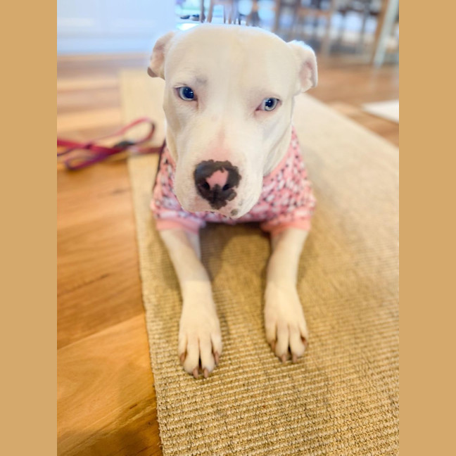 Photo of Grace