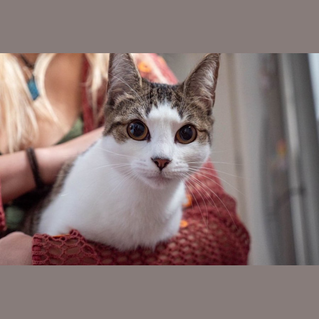 Photo of Penny & Essie 