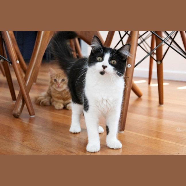 Photo of Gretel Moriarty