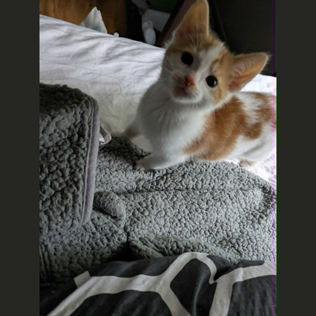 Photo of Salsa