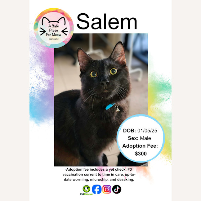 Photo of Salem