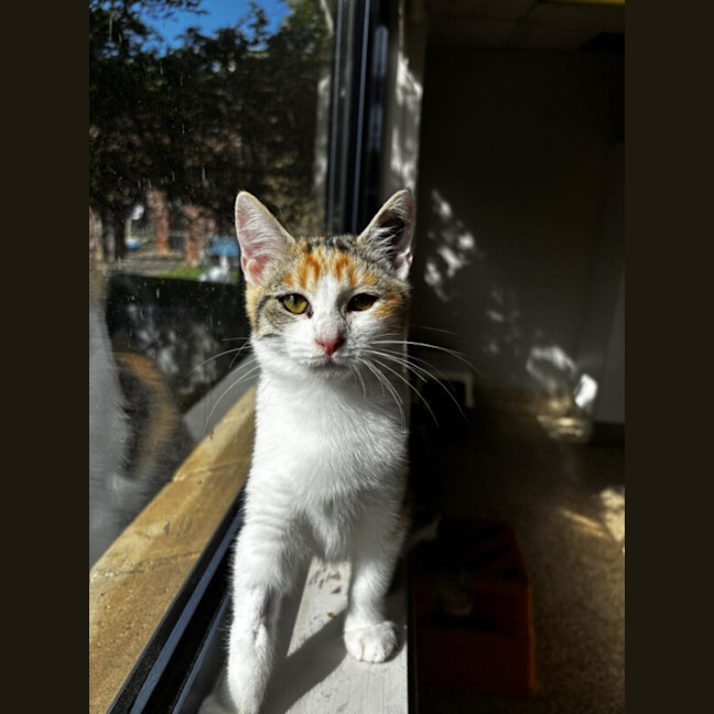 Photo of Grace