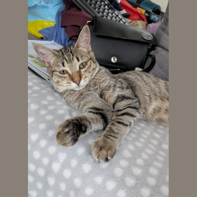 Photo of Angel