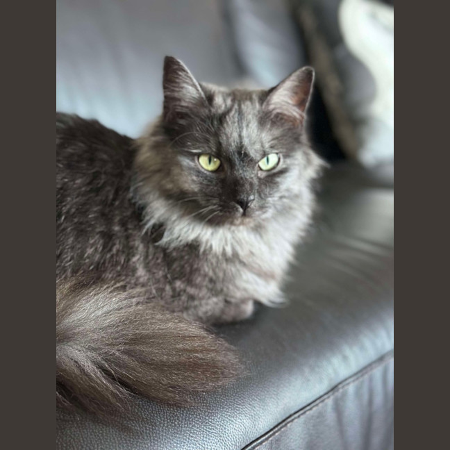 Photo of Amelia 🩷