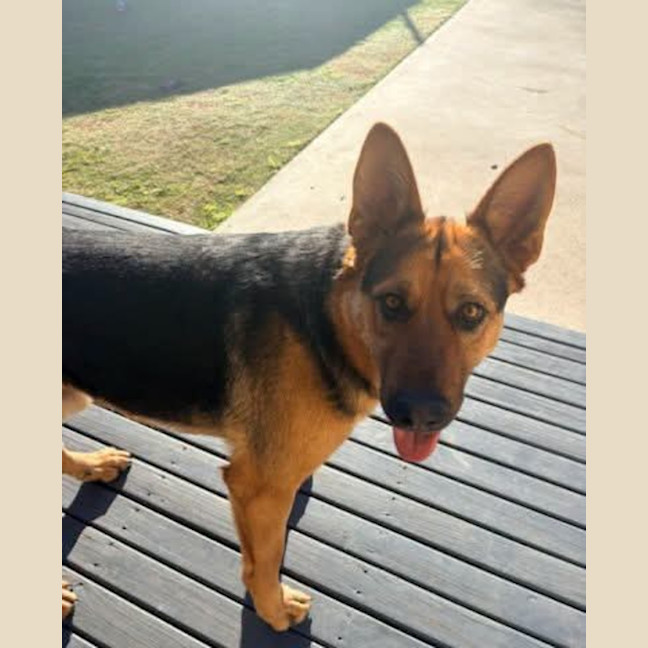 Photo of Hugo
