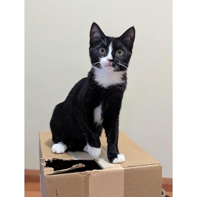 Photo of 13530   Bikkie