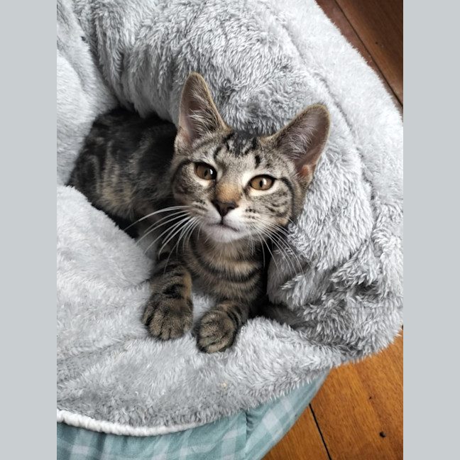 Photo of 🌼 Dakota 🌼