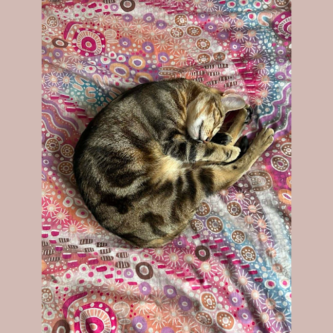 Photo of Glinda And Cruise