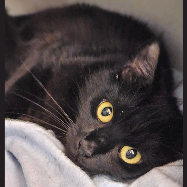 Photo of Precious