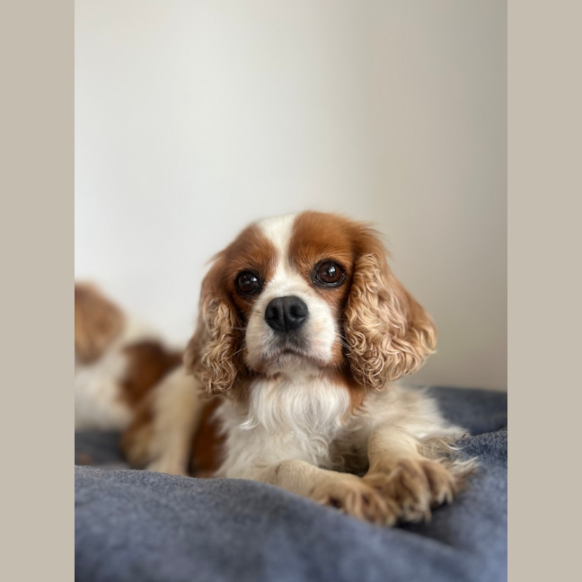Photo of Millie