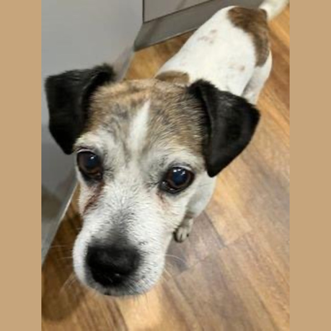 Photo of Coriolanus Snow Peggotty