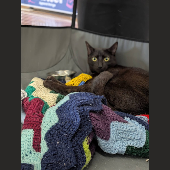 Photo of Vera