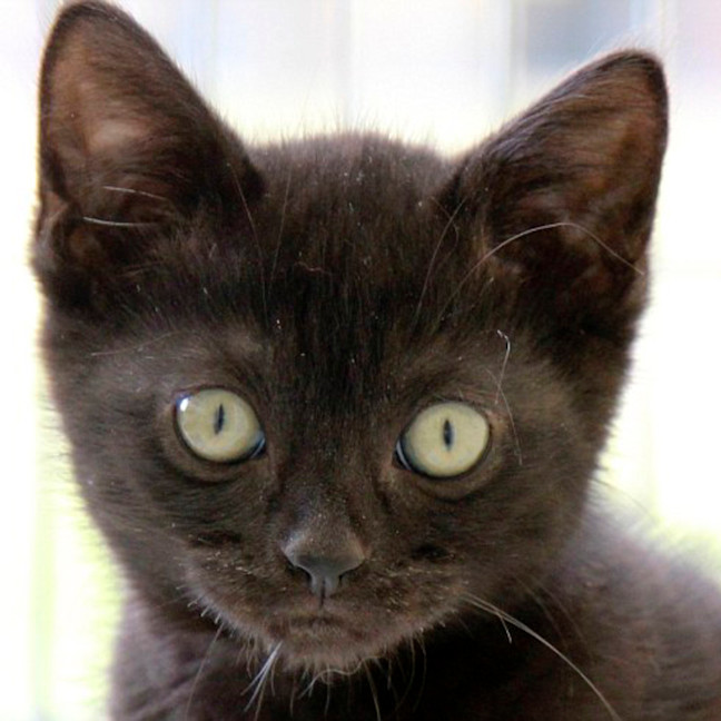 Photo of 🥰 Davis 🥰