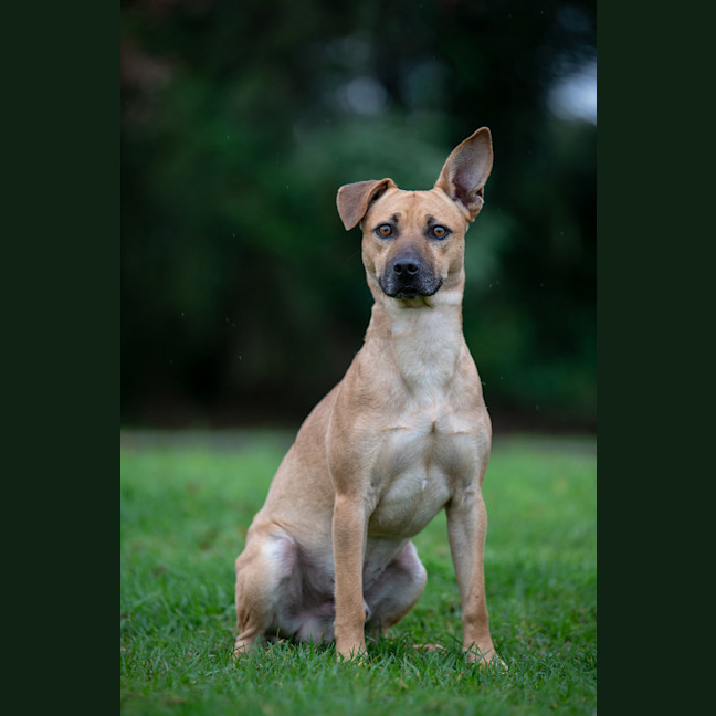 Photo of Bruno