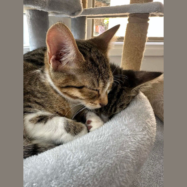 Photo of Miley & Robbie 