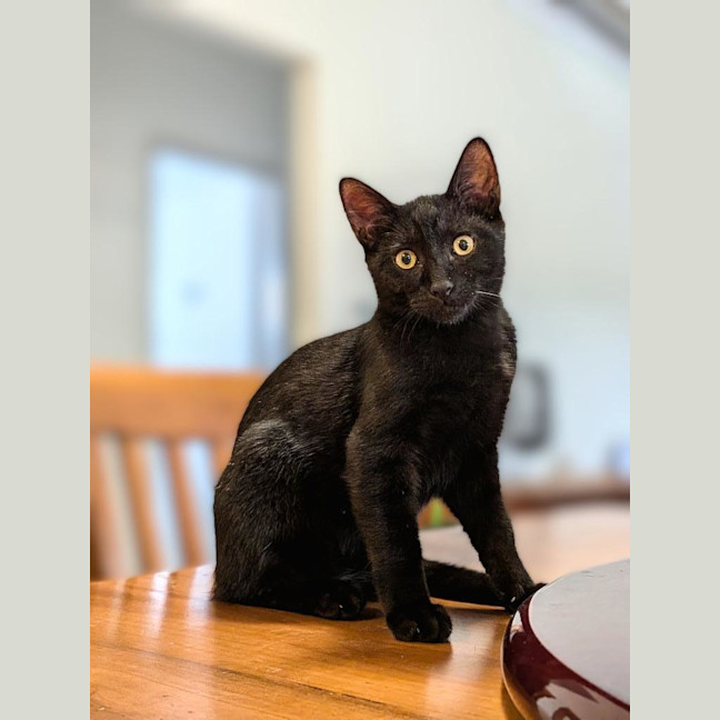 Photo of Hamish
