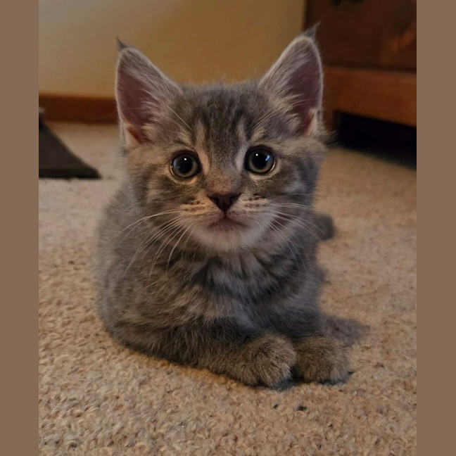 Photo of Space Monkey