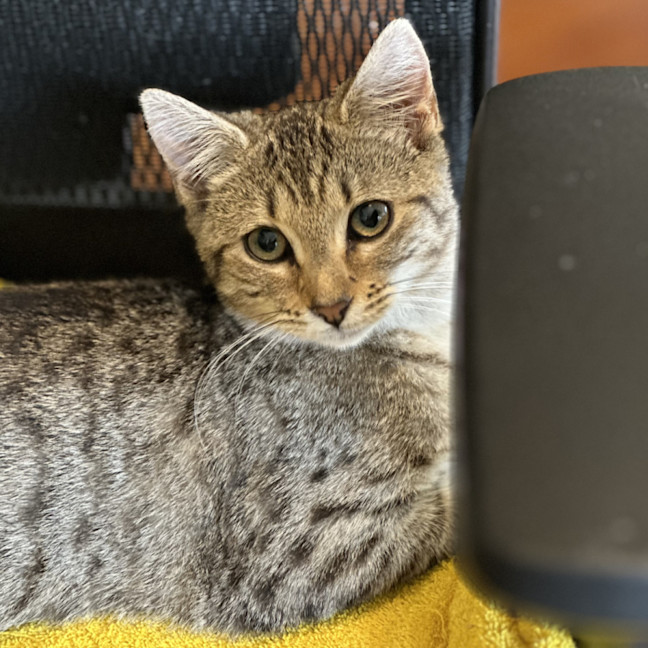 Photo of Twinkle