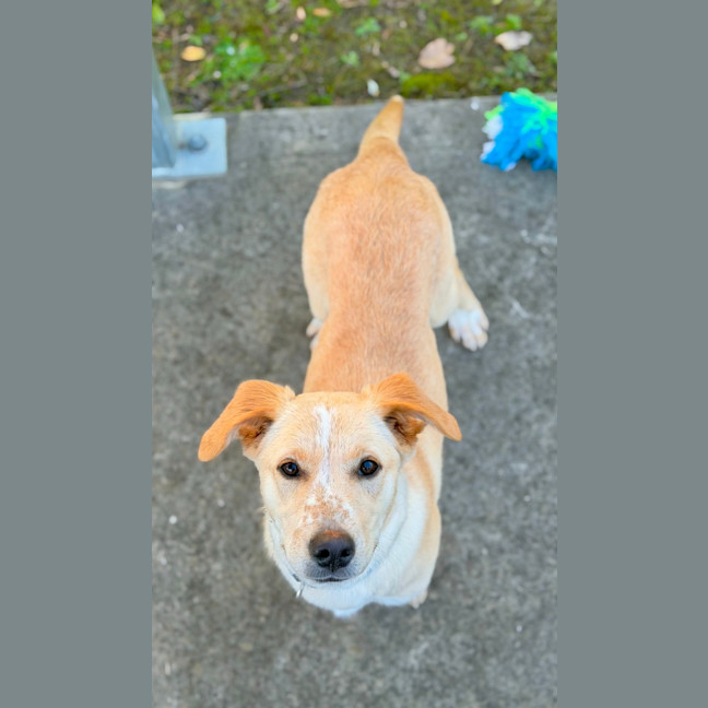 Photo of Sandy 