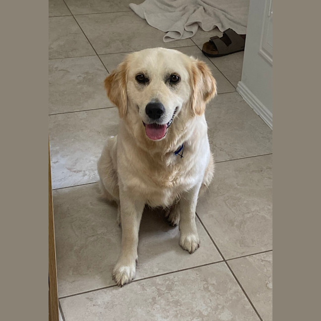 Photo of Penny