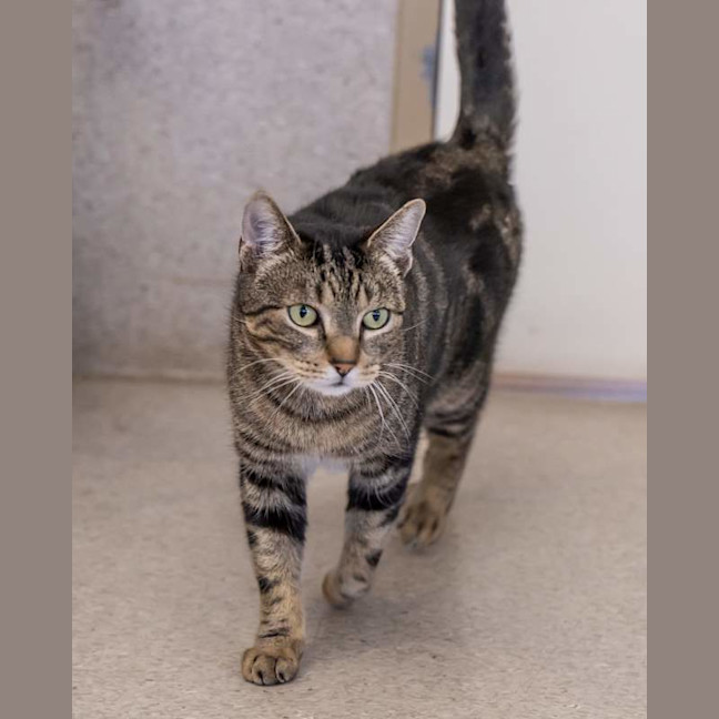 Photo of Turbo