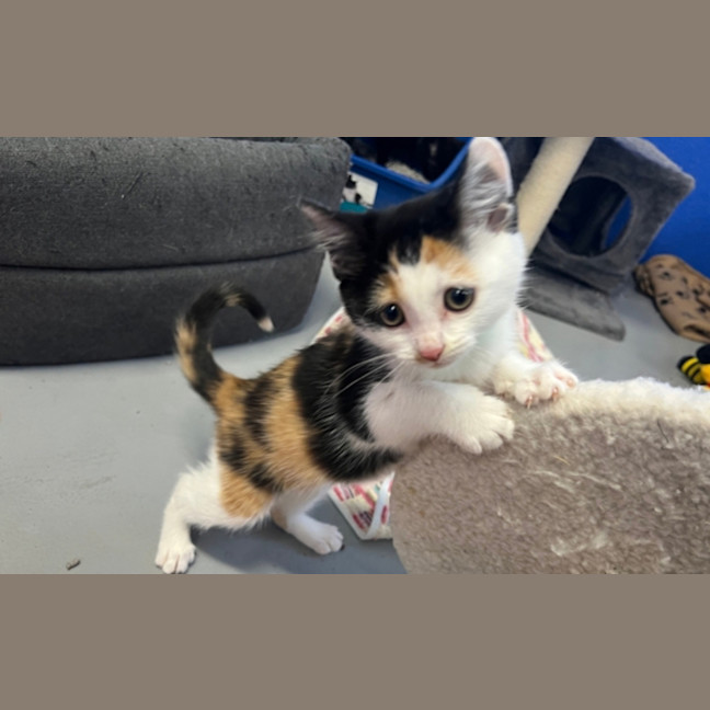 Photo of Bug