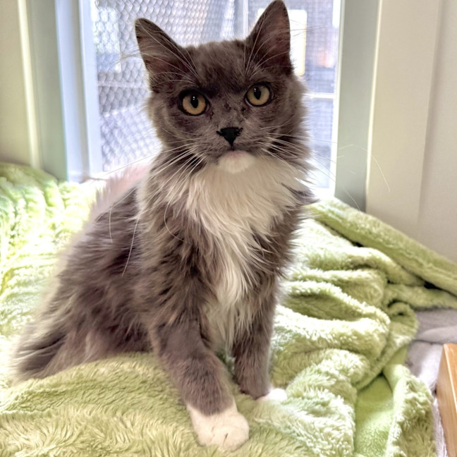 Photo of Fergus