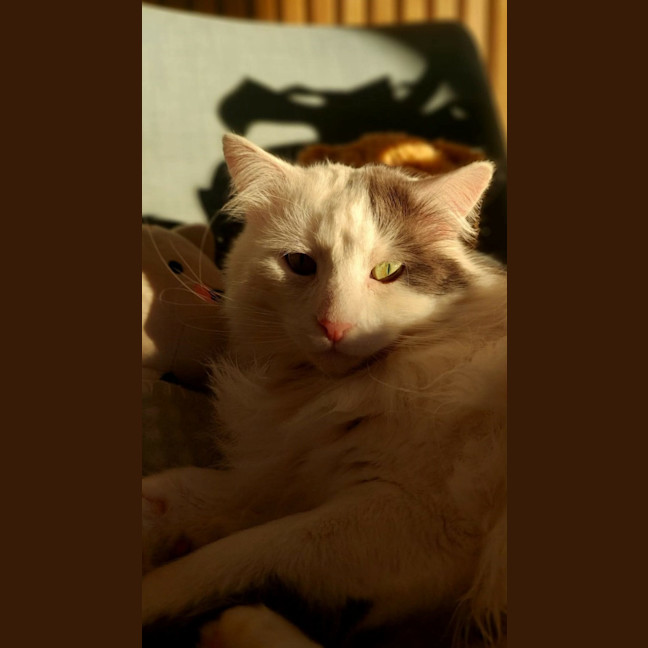 Photo of Walter 