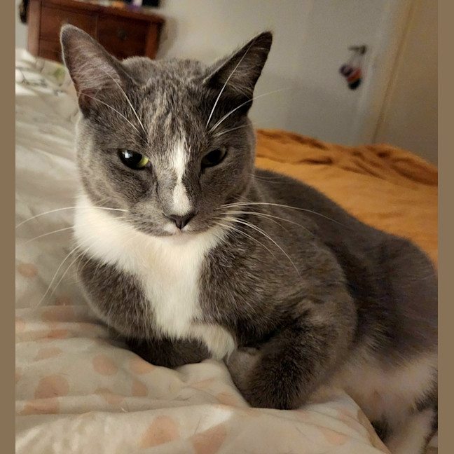 Photo of Still Water 