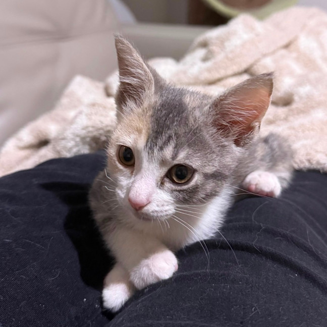 Photo of Georgia 🍒