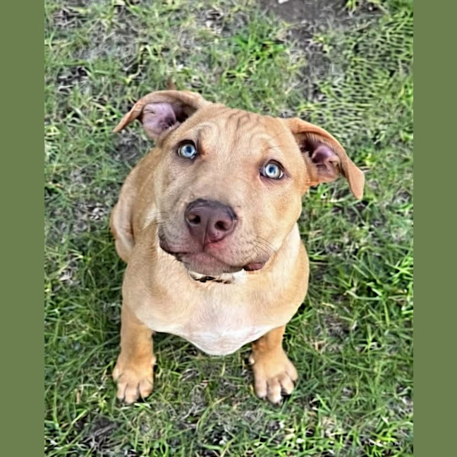 Photo of Ellie