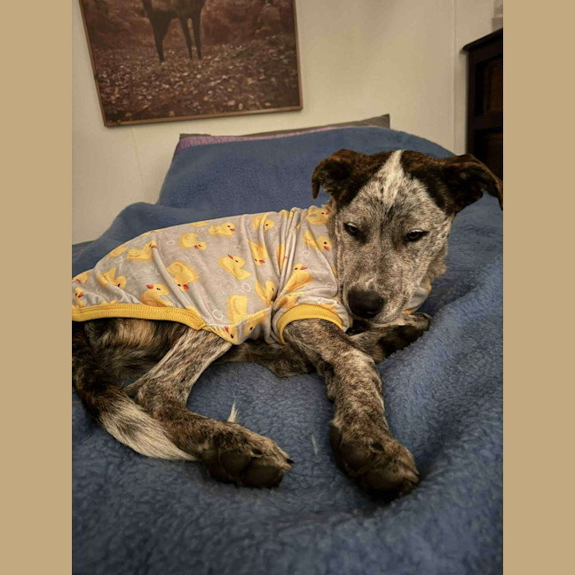 Photo of Andy