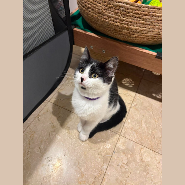 Photo of Faye