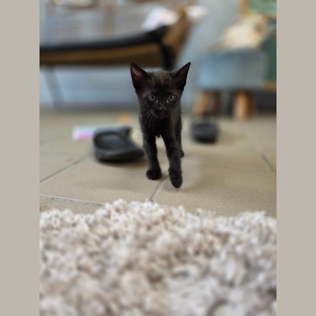 Photo of Jelly Belly