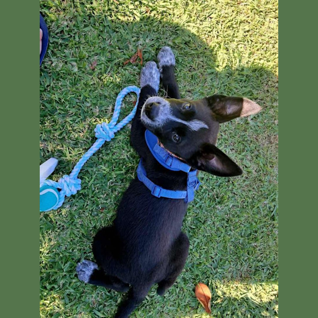 Photo of Bentley