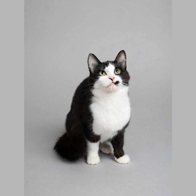 Photo of Bonnie