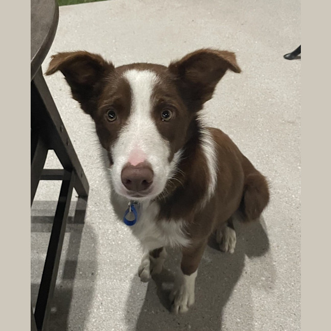 Photo of Colin