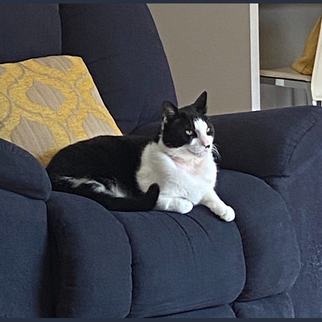 Photo of Felix