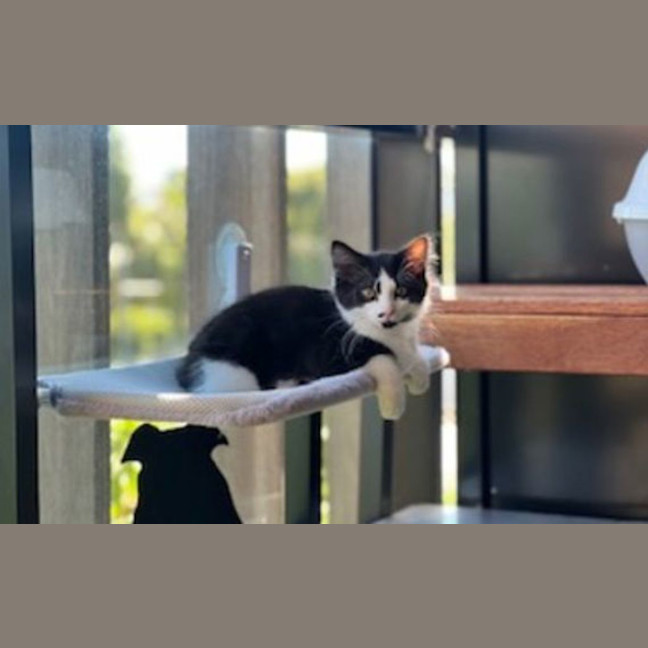 Photo of Colby