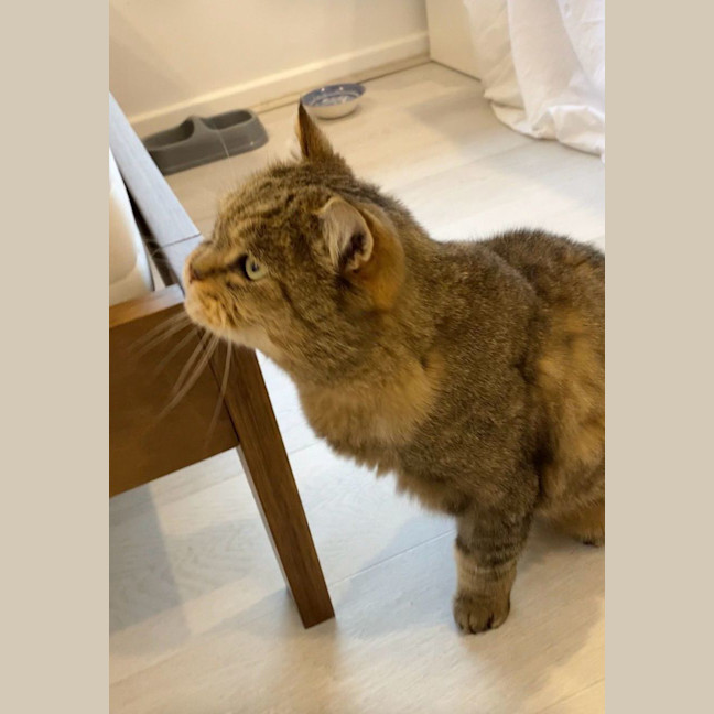 Photo of Big Boy