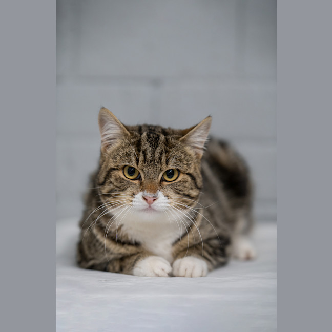Photo of Winston
