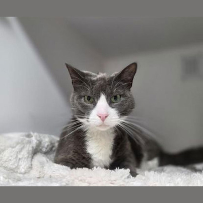 Photo of Heavenly Loaf