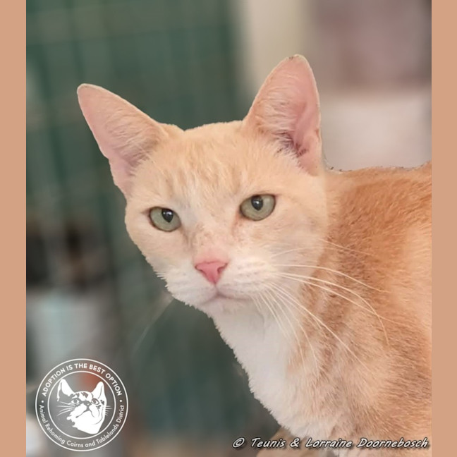 Photo of Eagless And Weston